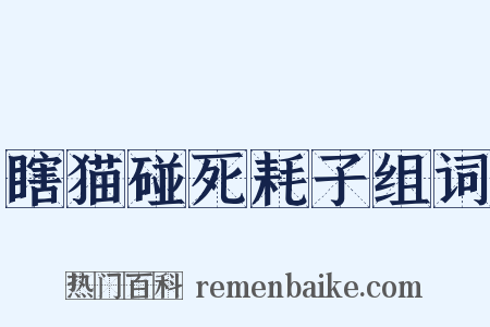 瞎猫碰死耗子组词是什么意思的图片